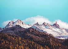 半岛体育官网-乒乓球亚洲杯：国乒4人晋级四强